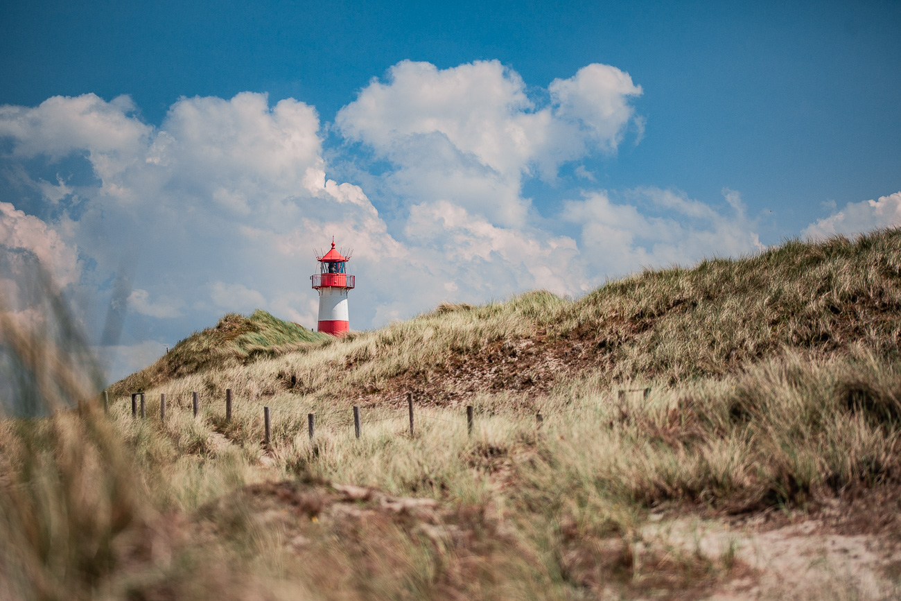Eine Hand als Lampe mit einer Glübirne
