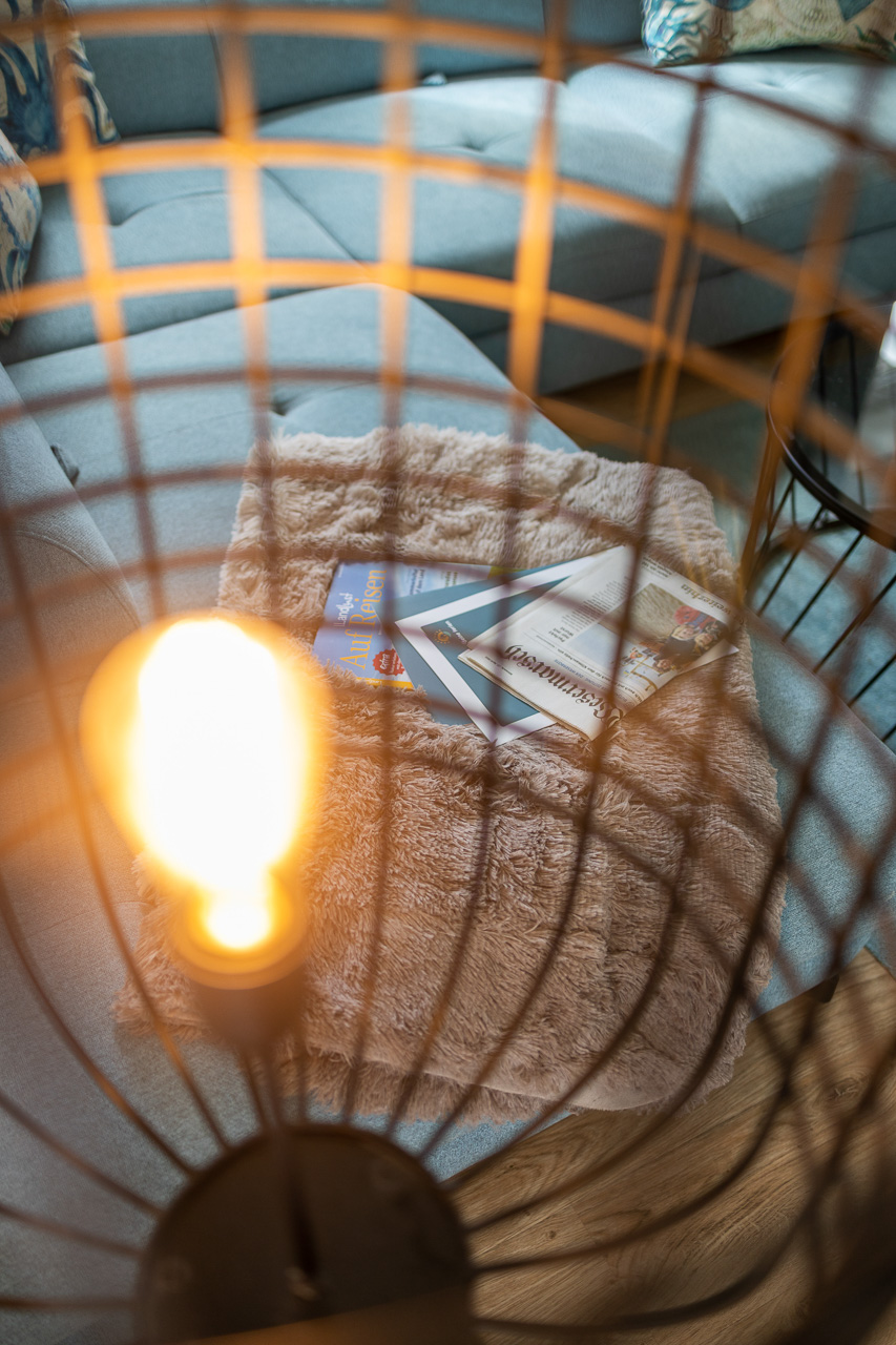 Seepferdchen auf dem Wohnzimmertisch